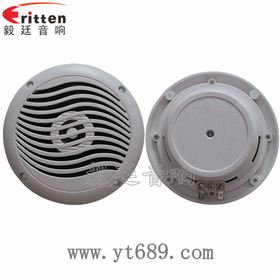 8''中低音舞臺(tái)音箱喇叭廠家正反面