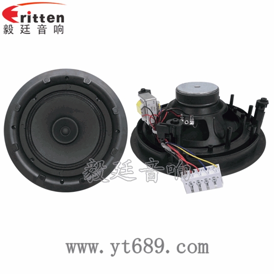 8寸25芯20瓦天花全頻喇叭正反面 8寸25芯20瓦天花全頻喇叭正反面