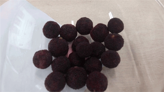 毅廷喇叭廠勇敢邁出第一步就是我們最大勝得 —牛商爭霸死黨互動學習共成長