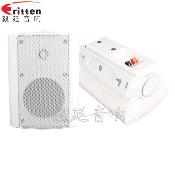 4寸掛壁音箱喇叭正反面 8''中低音舞臺音箱喇叭廠家正反面