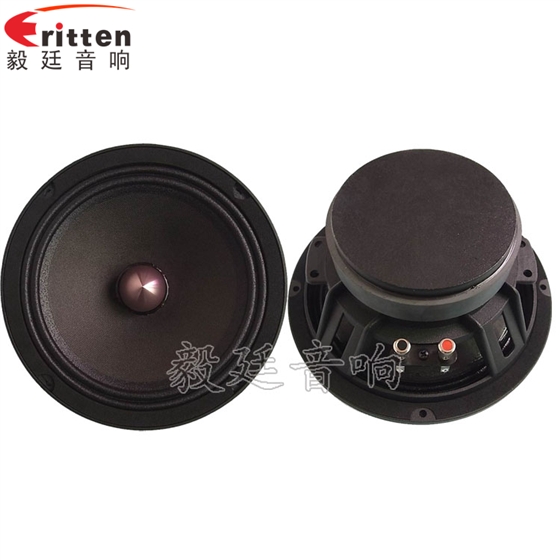 8''250w 重低音喇叭正反面