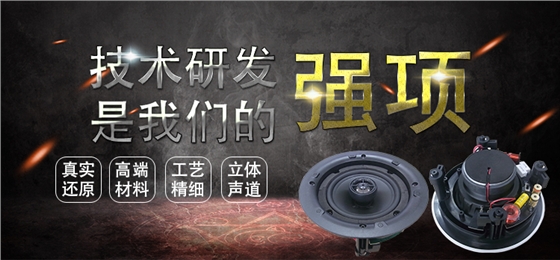 5.25寸(196mm)PP盆/橡膠邊50W鐵氧體全頻天花音箱喇叭 5.25寸(196mm)PP盆/橡膠邊50W鐵氧體全頻天花音箱喇叭