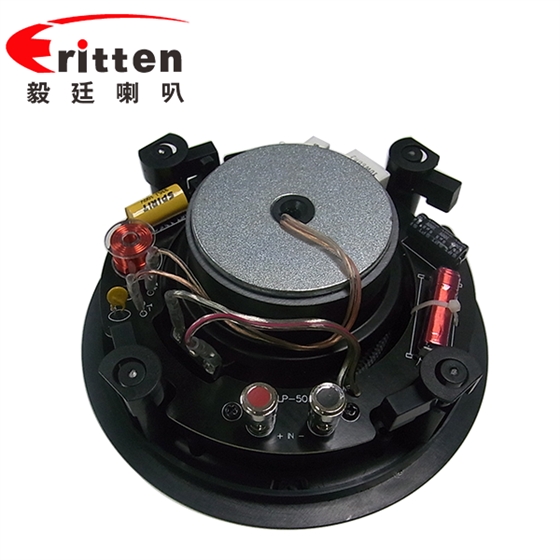 5.25寸天花揚聲 5.25寸天花揚聲