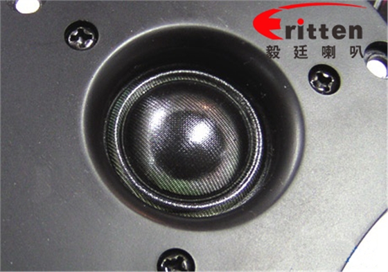 揚(yáng)聲器廠家高音喇叭廠家