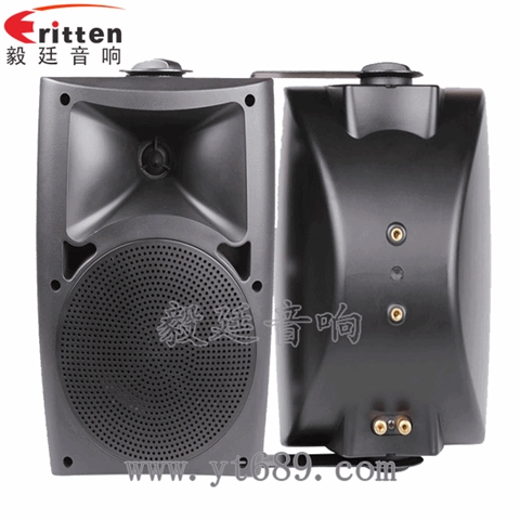 5.25寸2路壁掛音箱 5.25寸2路壁掛音箱