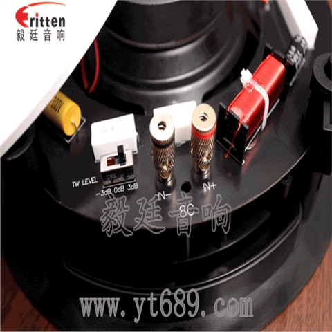 8寸天花吸頂喇叭 8寸天花吸頂喇叭