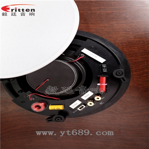 8寸天花吸頂喇叭 8寸天花吸頂喇叭