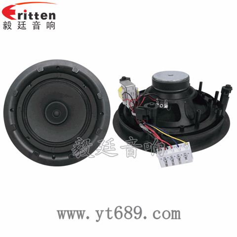 8寸25芯20瓦天花全頻喇叭 8寸25芯20瓦天花全頻喇叭