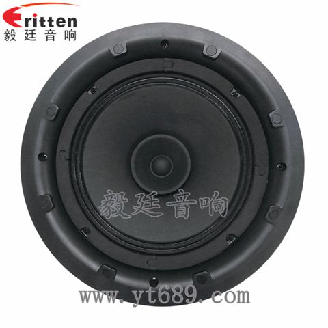 8寸25芯20瓦天花全頻喇叭 8寸25芯20瓦天花全頻喇叭