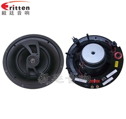 2路8寸吊頂喇叭