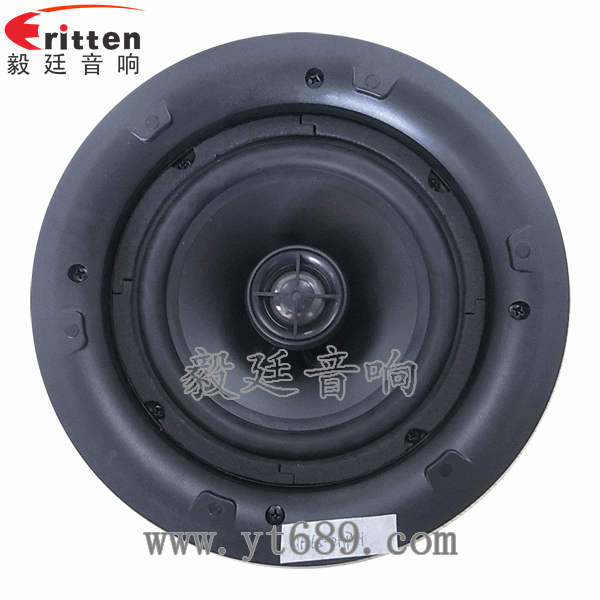 8''250w 重低音喇叭正面圖