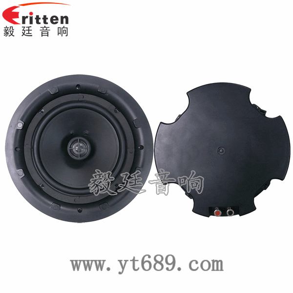 8''250w 重低音喇叭正反面