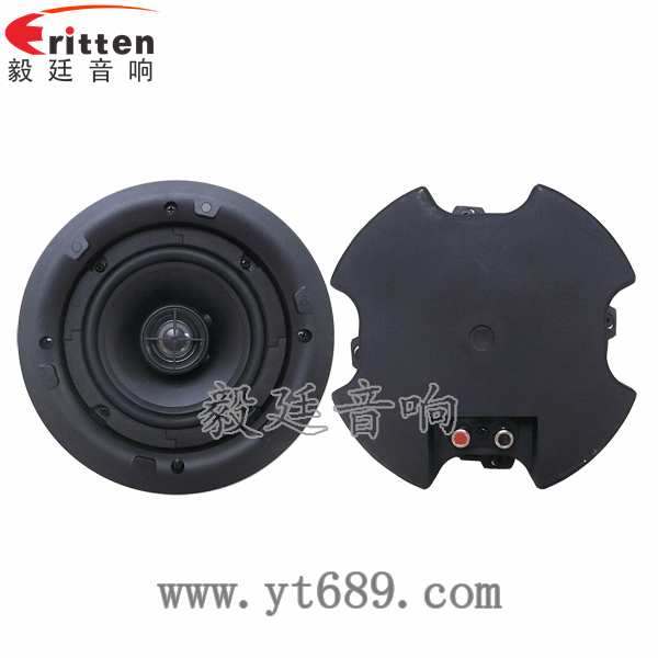 8''250w 重低音喇叭正反面