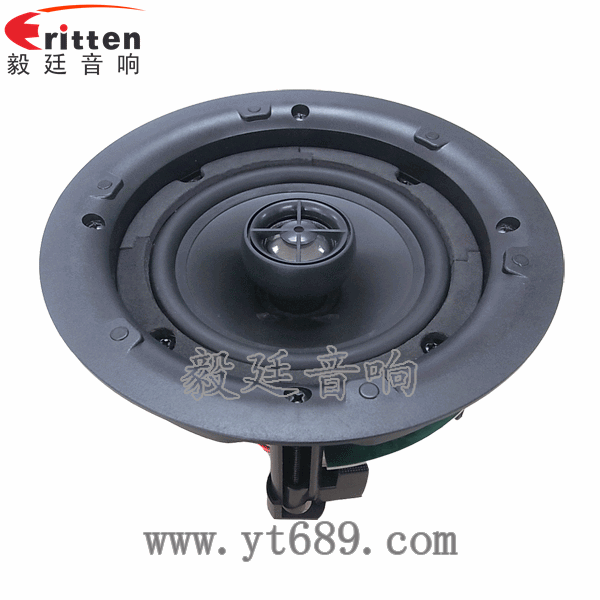 8''250w 重低音喇叭正面圖