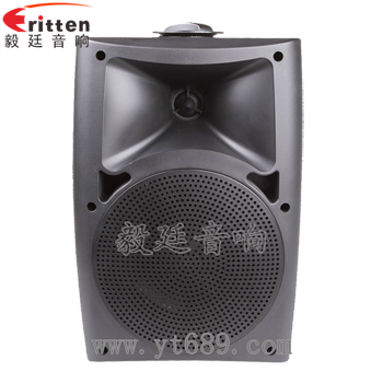 8''中低音舞臺(tái)音箱喇叭廠家正面圖