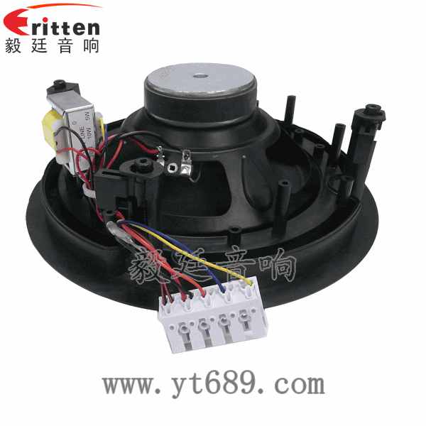 58mm20芯8瓦內磁全頻喇叭反面圖