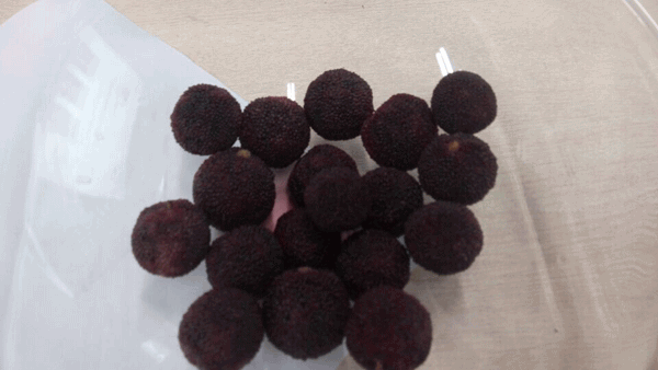 毅廷喇叭廠勇敢邁出第一步就是我們最大勝得 —牛商爭霸死黨互動學習共成長 毅廷喇叭廠勇敢邁出第一步就是我們最大勝得 —牛商爭霸死黨互動學習共成長