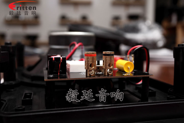 8''中低音舞臺(tái)音箱喇叭廠家正面圖