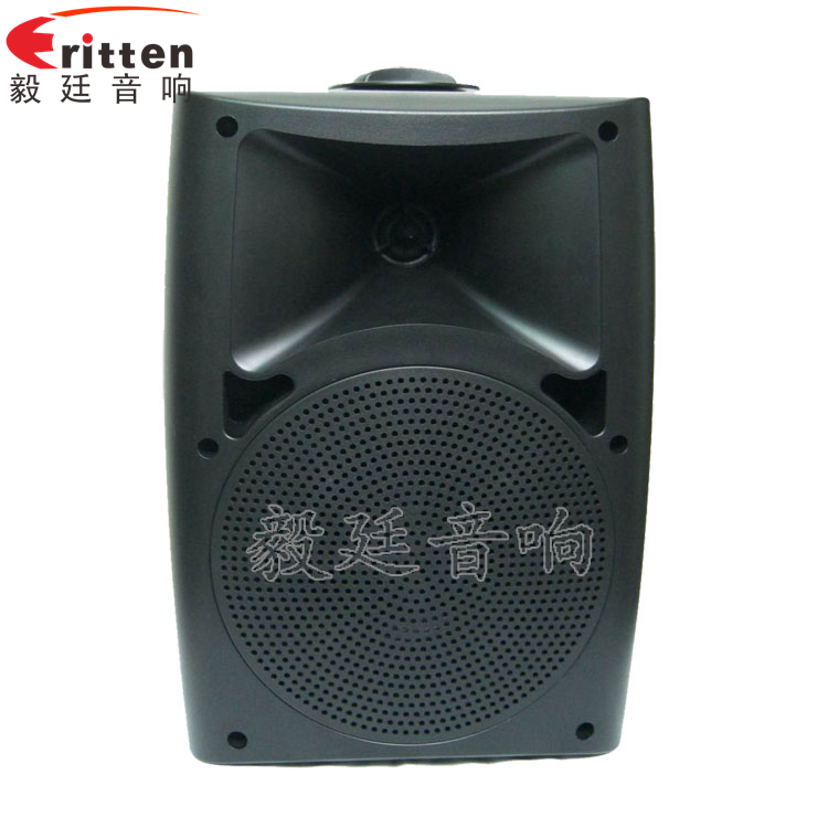 8''中低音舞臺音箱喇叭廠家正面圖