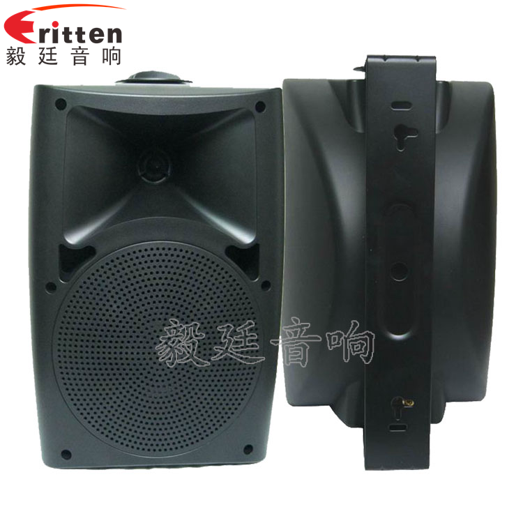 8''中低音舞臺音箱喇叭廠家正反面