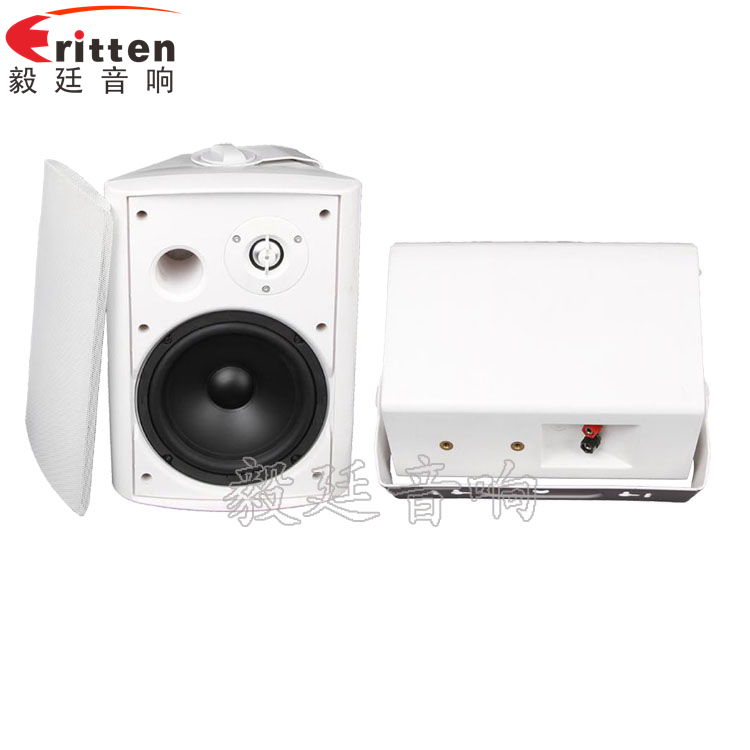 8''中低音舞臺音箱喇叭廠家正反面