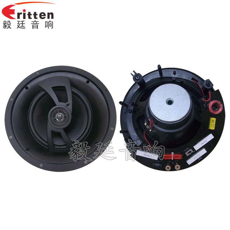 8''250w 重低音喇叭正反面