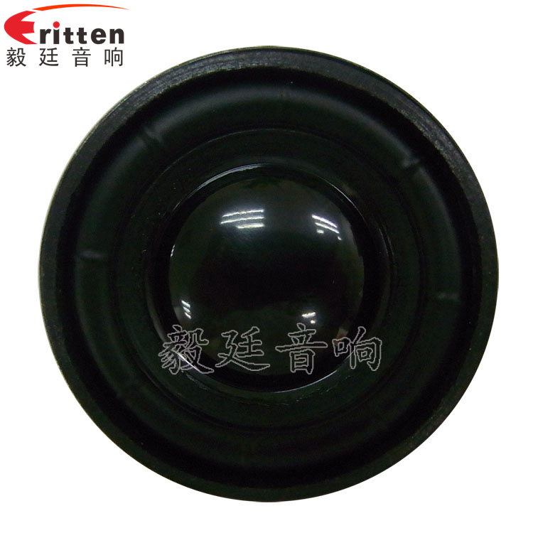 8''250w 重低音喇叭正面圖