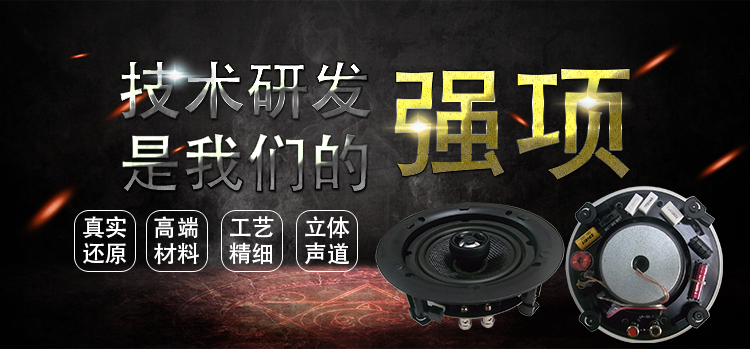 6.5寸30瓦天花吸頂喇叭 6.5寸30瓦天花吸頂喇叭