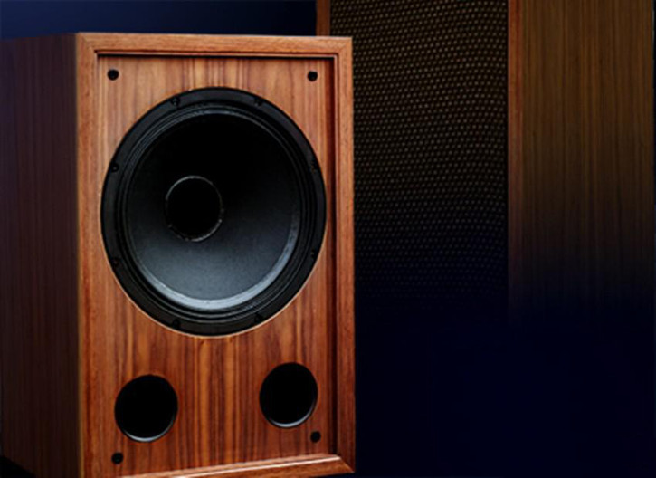 東莞毅廷喇叭廠家 東莞喇叭廠家