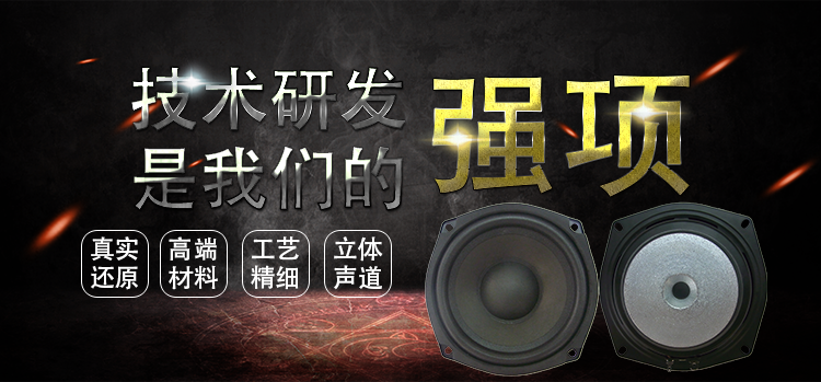 5.25寸異形鐵氧體外磁 電動式（動圈式）紙盆/泡沫環繞40W多媒體喇叭